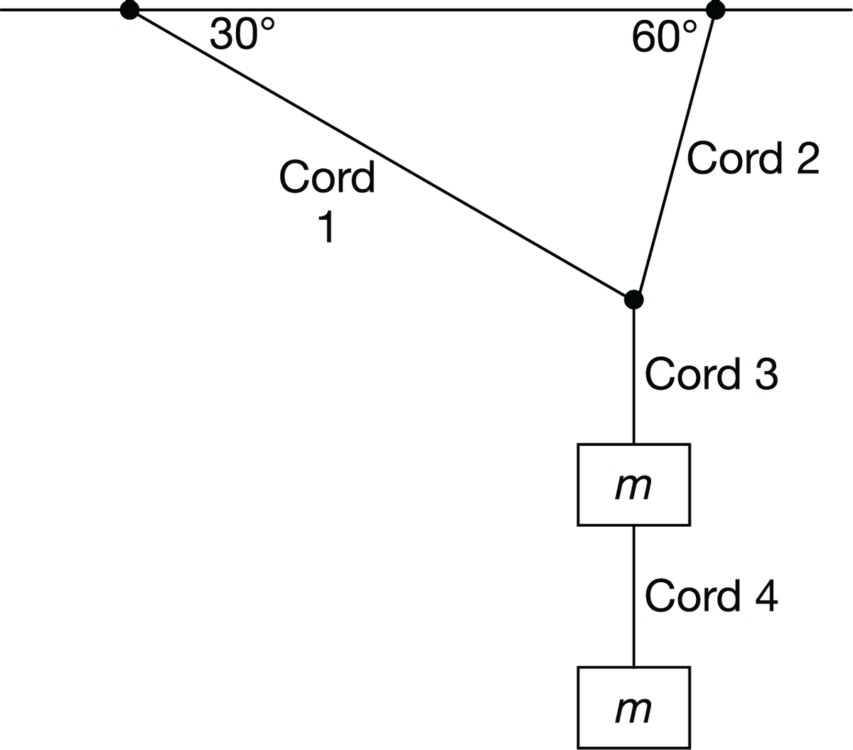 30°
60°
Cord 2
Cord
1
Cord 3
m
Cord 4
m
