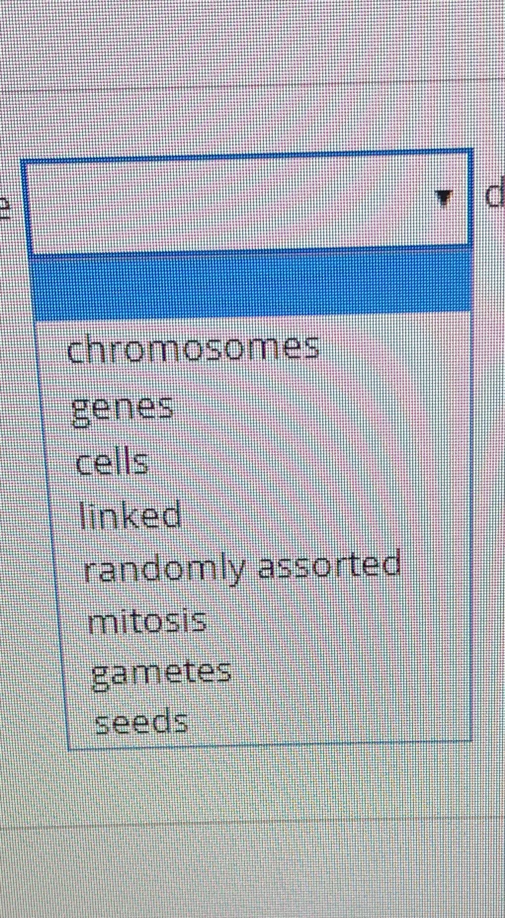 chromosomes
genes
cells
linked
randomly assorted
mitosis
gametes
seeds
