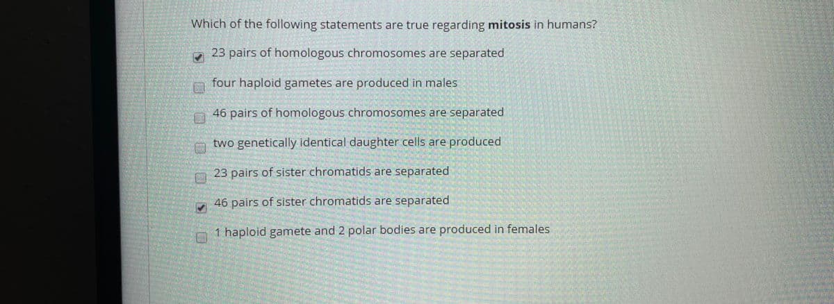 Which of the following statements are true regarding mitosis in humans?
23 pairs of homologous chromosomes are separated
four haploid gametes are produced in males
46 pairs of homologous chromosomes are separated
two genetically identical daughter cells are produced
23 pairs of sister chromatids are separated
46pairs of sister chromatids are separated
1 haploid gamete and 2 polar bodies are produced in females
