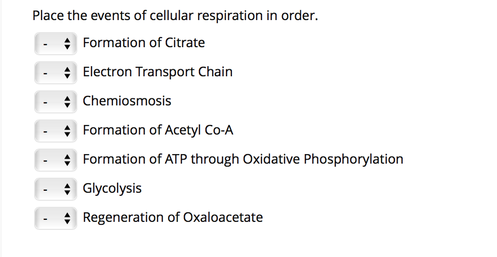 Place the events of cellular respiration in order.
+ Formation of Citrate
Electron Transport Chain
+ Chemiosmosis
+ Formation of Acetyl Co-A
Formation of ATP through Oxidative Phosphorylation
Glycolysis
Regeneration of Oxaloacetate
