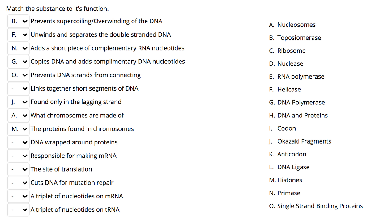 Match the substance to it's function.
B. v Prevents supercoiling/Overwinding of the DNA
A. Nucleosomes
F.
v Unwinds and separates the double stranded DNA
B. Toposiomerase
N. V Adds a short piece of complementary RNA nucleotides
C. Ribosome
G. v Copies DNA and adds complimentary DNA nucleotides
D. Nuclease
O. v Prevents DNA strands from connecting
E. RNA polymerase
v Links together short segments of DNA
F. Helicase
J.
v Found only in the lagging strand
G. DNA Polymerase
A. v What chromosomes are made of
H. DNA and Proteins
M. v The proteins found in chromosomes
I. Codon
v DNA wrapped around proteins
J. Okazaki Fragments
v Responsible for making mRNA
K. Anticodon
v The site of translation
L. DNA Ligase
M. Histones
v Cuts DNA for mutation repair
N. Primase
v A triplet of nucleotides on mRNA
O. Single Strand Binding Proteins
v A triplet of nucleotides on tRNA
