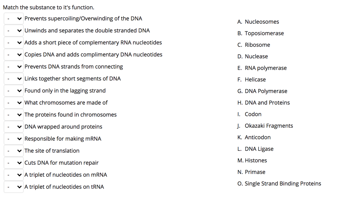 Match the substance to it's function.
v Prevents supercoiling/Overwinding of the DNA
A. Nucleosomes
v Unwinds and separates the double stranded DNA
B. Toposiomerase
v Adds a short piece of complementary RNA nucleotides
C. Ribosome
v Copies DNA and adds complimentary DNA nucleotides
D. Nuclease
v Prevents DNA strands from connecting
E. RNA polymerase
v Links together short segments of DNA
F. Helicase
v Found only in the lagging strand
G. DNA Polymerase
v What chromosomes are made of
H. DNA and Proteins
v The proteins found in chromosomes
I. Codon
v DNA wrapped around proteins
J. Okazaki Fragments
Responsible for making mRNA
K. Anticodon
v The site of translation
L. DNA Ligase
M. Histones
v Cuts DNA for mutation repair
N. Primase
v A triplet of nucleotides on MRNA
O. Single Strand Binding Proteins
v A triplet of nucleotides on tRNA
