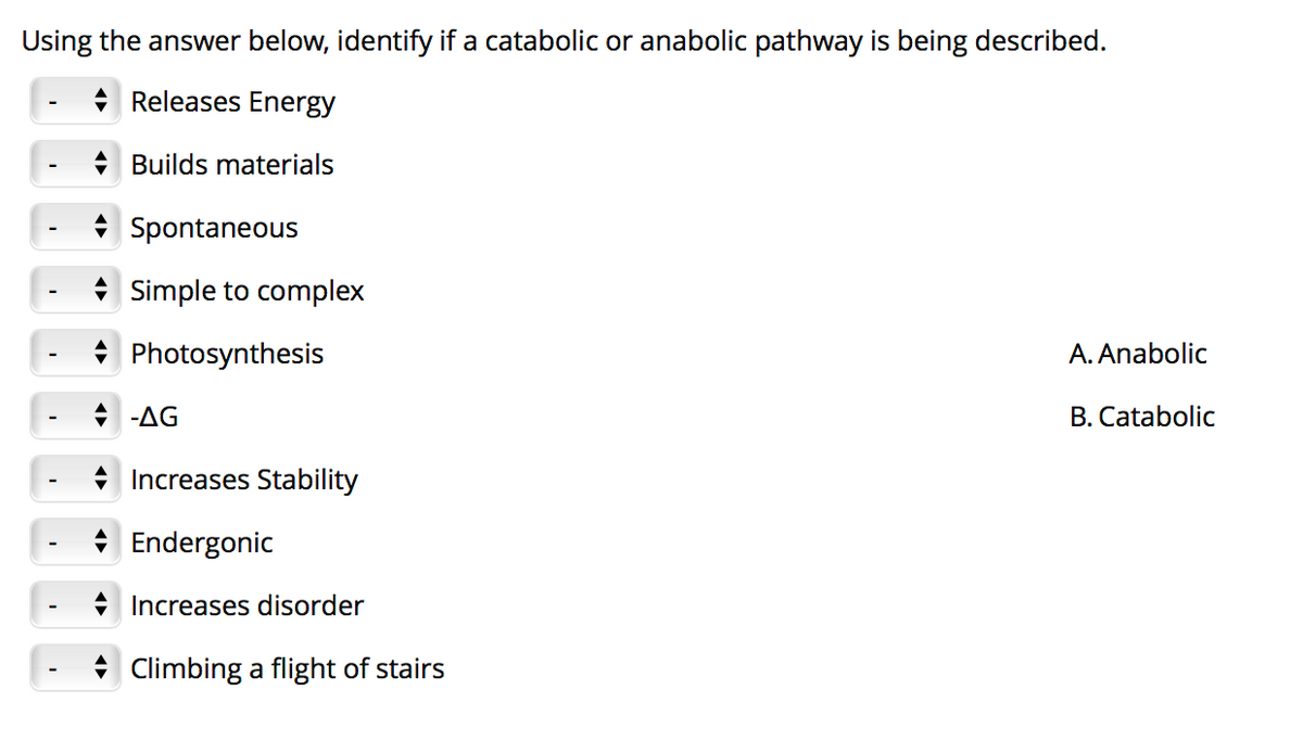 Using the answer below, identify if a catabolic or anabolic pathway is being described.
+ Releases Energy
+ Builds materials
Spontaneous
Simple to complex
* Photosynthesis
A. Anabolic
+ -AG
B. Catabolic
* Increases Stability
Endergonic
Increases disorder
* Climbing a flight of stairs
