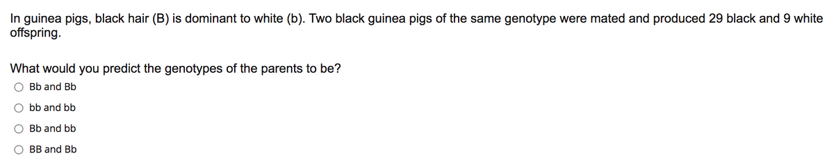 In guinea pigs, black hair (B) is dominant to white (b). Two black guinea pigs of the same genotype were mated and produced 29 black and 9 white
offspring.
What would you predict the genotypes of the parents to be?
Bb and Bb
O bb and bb
O Bb and bb
BB and Bb
