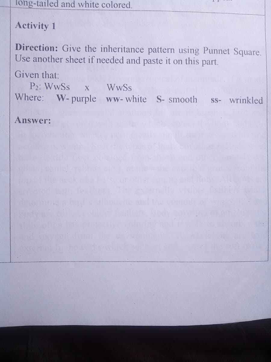 Tong-tailed and white colored.
Activity 1
Direction: Give the inheritance pattern using Punnet Square.
Use another sheet if needed and paste it on this part.
Given that:
P2: WwSs
Where:
WwSs
W- purple ww- white S- smooth
Ss- wrinkled
Answer:
