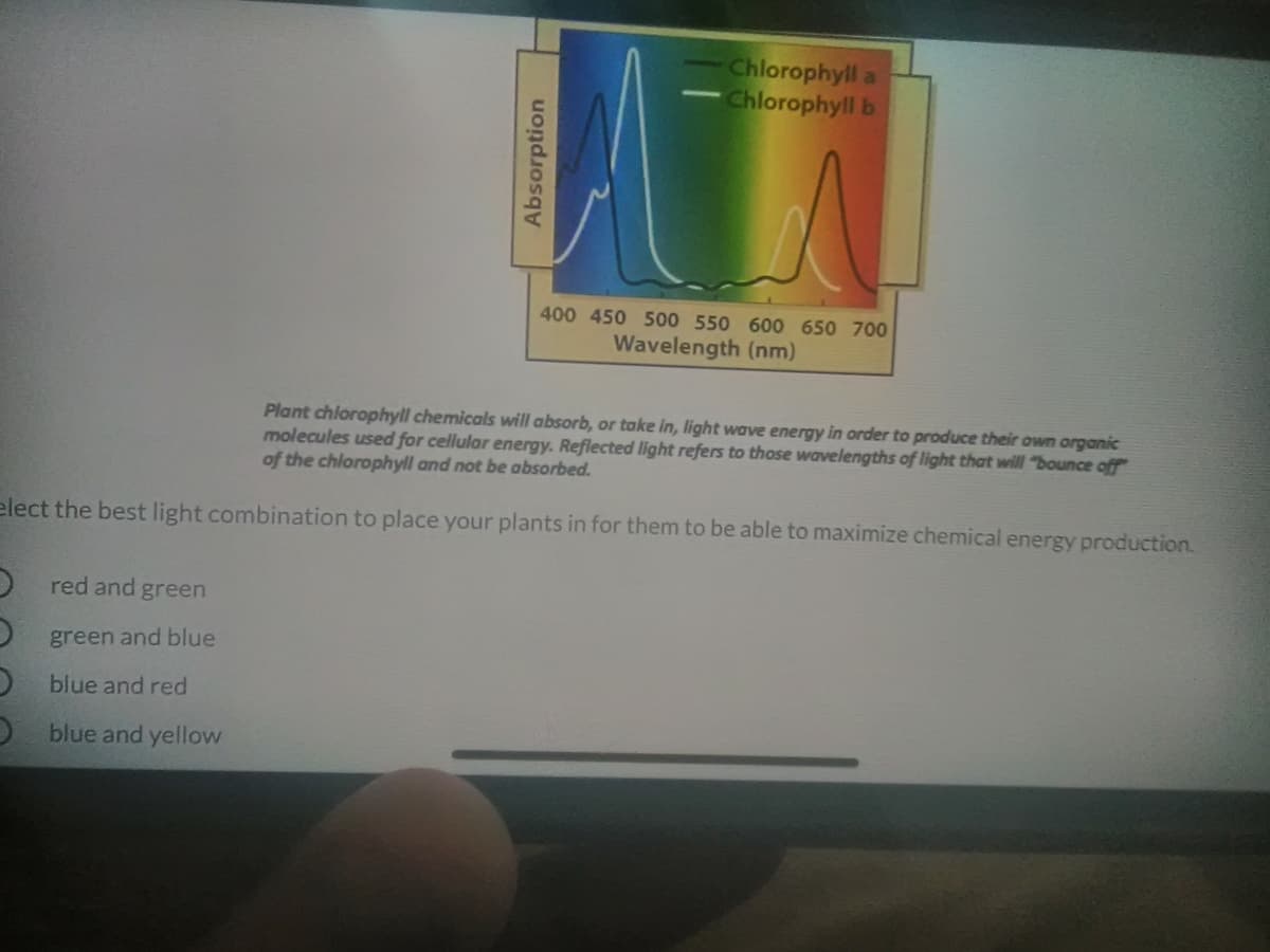 Chlorophyll a
Chlorophyll b
400 450 500 550 600 650 700
Wavelength (nm)
Plant chlorophyll chemicals will absorb, or take in, light wave energy in order to produce their own arganic
molecules used for cellular energy. Reflected light refers to those wavelengths of light that will "bounce off
of the chlorophyll and not be absorbed.
elect the best light combination to place your plants in for them to be able to maximize chemical energy production.
O red and green
O green and blue
D blue and red
O blue and yellow
Absorption
