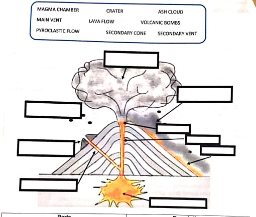 MAGMA CHAMBER
CRATER
ASH CLOUD
MAIN VENT
LAVA FLOW
VOLCANIC BOMBS
PYROCLASTIC FLOW
SECONDARY CONE
SECONDARY VENT
Dorte
