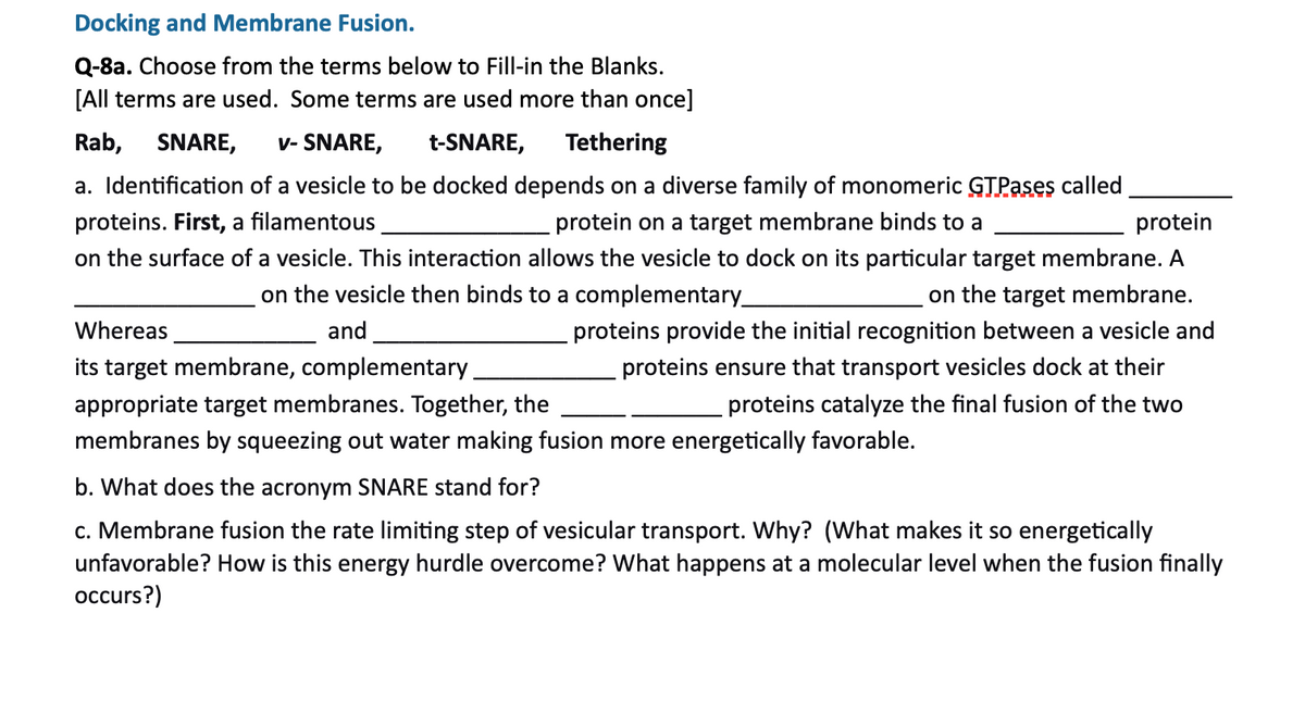 Docking and Membrane Fusion.
Q-8a. Choose from the terms below to Fill-in the Blanks.
[All terms are used. Some terms are used more than once]
Rab,
SNARE,
v- SNARE,
t-SNARE,
Tethering
a. Identification of a vesicle to be docked depends on a diverse family of monomeric GTPases called
proteins. First, a filamentous
protein on a target membrane binds to a
protein
on the surface of a vesicle. This interaction allows the vesicle to dock on its particular target membrane. A
on the vesicle then binds to a complementary_
on the target membrane.
Whereas
and
proteins provide the initial recognition between a vesicle and
its target membrane, complementary
appropriate target membranes. Together, the
proteins ensure that transport vesicles dock at their
proteins catalyze the final fusion of the two
membranes by squeezing out water making fusion more energetically favorable.
b. What does the acronym SNARE stand for?
c. Membrane fusion the rate limiting step of vesicular transport. Why? (What makes it so energetically
unfavorable? How is this energy hurdle overcome? What happens at a molecular level when the fusion finally
occurs?)
