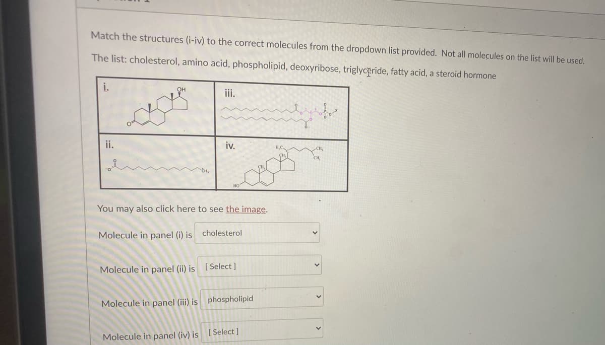 Match the structures (i-iv) to the correct molecules from the dropdown list provided. Not all molecules on the list will be used.
The list: cholesterol, amino acid, phospholipid, deoxyribose, triglyceride, fatty acid, a steroid hormone
i.
OH
iii.
ii.
iv.
You may also click here to see the image.
Molecule in panel (i) is cholesterol
Molecule in panel (ii) is [ Select ]
Molecule in panel (iii) is phospholipid
[ Select ]
Molecule in panel (iv) is
