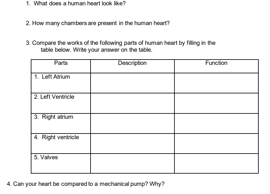 1. What does a human heart look like?
2. How many chambers are present in the human heart?
3. Compare the works of the following parts of human heart by filling in the
table below. Write your answer on the table.
Parts
Description
Function
1. Left Atrium
2. Left Ventricle
3. Right atrium
4. Right ventricle
5. Valves
4. Can your heart be compared to a mechanical pump? Why?
