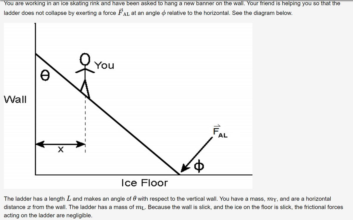 You are working in an ice skating rink and have been asked to hang a new banner on the wall. Your friend is helping you so that the
ladder does not collapse by exerting a force FAL at an angle o relative to the horizontal. See the diagram below.
You
Wall
AL
Ice Floor
The ladder has a length L and makes an angle of 0 with respect to the vertical wall. You have a mass, my, and are a horizontal
distance x from the wall. The ladder has a mass of mL. Because the wall is slick, and the ice on the floor is slick, the frictional forces
acting on the ladder are negligible.
