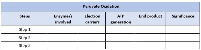 Steps
Step 1
Step 2
Step 3
Enzyme/s
involved
Pyruvate Oxidation
Electron
carriers
ATP
generation
End product
Significance