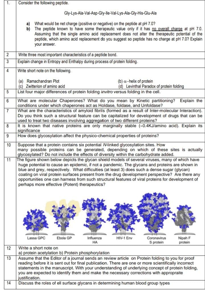 1.
Consider the following peptide.
Gly-Lys-Ala-Val-Asp-Gly-lle-Val-Lys-Ala-Gly-His-Glu-Ala
a) What would be net charge (positive or negative) on the peptide at pH 7.0?
b) The peptide known to have some therapeutic value only if it has no overall charge at pH 7.0.
Assuming that the single amino acid replacement does not alter the therapeutic potential of the
peptide, which amino acid replacement do you suggest so peptide has no charge at pH 7.0? Explain
your answer.
2
Write three most important characteristics of a peptide bond.
3
Explain change in Entropy and Enthalpy during process of protein folding.
4
Write short note on the following.
(a) Ramachandran Plot
(c) Zwitterion of amino acid
(b) a-helix of protein
(d) Levinthal Paradox of protein folding
List four major differences of protein folding invitro versus folding in the cell.
What are molecular Chaperones? What do you mean by Kinetic partitioning? Explain the
conditions under which chaperones act as Holdase, foldase, and Unfoldase?
What are the characteristics of amyloid fibrils (formed as a result of Inter-molecular Interaction).
Do you think such a structural feature can be capitalized for development of drugs that can be
used to treat two diseases involving aggregation of two different proteins?
8
6
It is known that native proteins are only marginally stable (-0.4KJ/amino acid). Explain its
significance
How does glycosylation affect the physico-chemical properties of proteins?
Suppose that a protein contains six potential N-linked glycosylation sites. How
many possible proteins can be generated, depending on which of these sites is actually
glycosylated? Do not include the effects of diversity within the carbohydrate added.
10
11
The figure shown below depicts the glycan shield models of several viruses, many of which have
huge potential to cause an epidemic, if not a pandemic. The glycans and proteins are shown in
blue and grey, respectively. What difficulties (at least 3) does such a dense sugar (glycan)
coating on viral protein surfaces present from the drug development perspective? Are there any
opportunities one can harness from such structural features of viral proteins for development of
perhaps more effective (Potent) therapeutics?
Lassa GPC
Nipah F
protein
Ebola GP
Influenza
НА
HIV-1 Env
Coronavirus
S protein
Write a short note on
12
a) protein acetylation b) Protein phosphorylation
13
Assume that the Editor of a journal sends an review article on Protein folding to you for proof
reading before it is sent out for final publication. There are one or more scientifically incorrect
statements in the manuscript. With your understanding of underlying concept of protein folding,
you are expected to identify them and make the necessary corrections with appropraite
justification.
Discuss the roles of ell surface glycans in determining human blood group types
14
