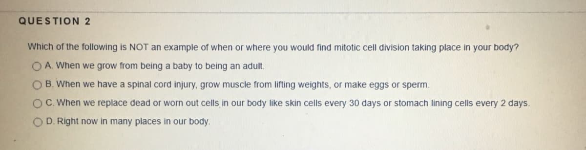 QUESTION 2
Which of the following is NOT an example of when or where you would find mitotic cell division taking place in your body?
O A. When we grow from being a baby to being an adult.
O B. When we have a spinal cord injury, grow muscle from lifting weights, or make eggs or sperm.
OC. When we replace dead or worn out cells in our body like skin cells every 30 days or stomach lining cells every 2 days.
O D. Right now in many places in our body.
