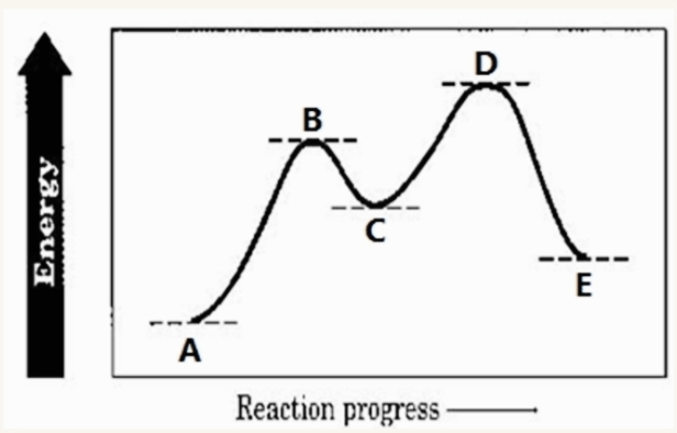 D
В
E
A
Reaction progress
Energy
