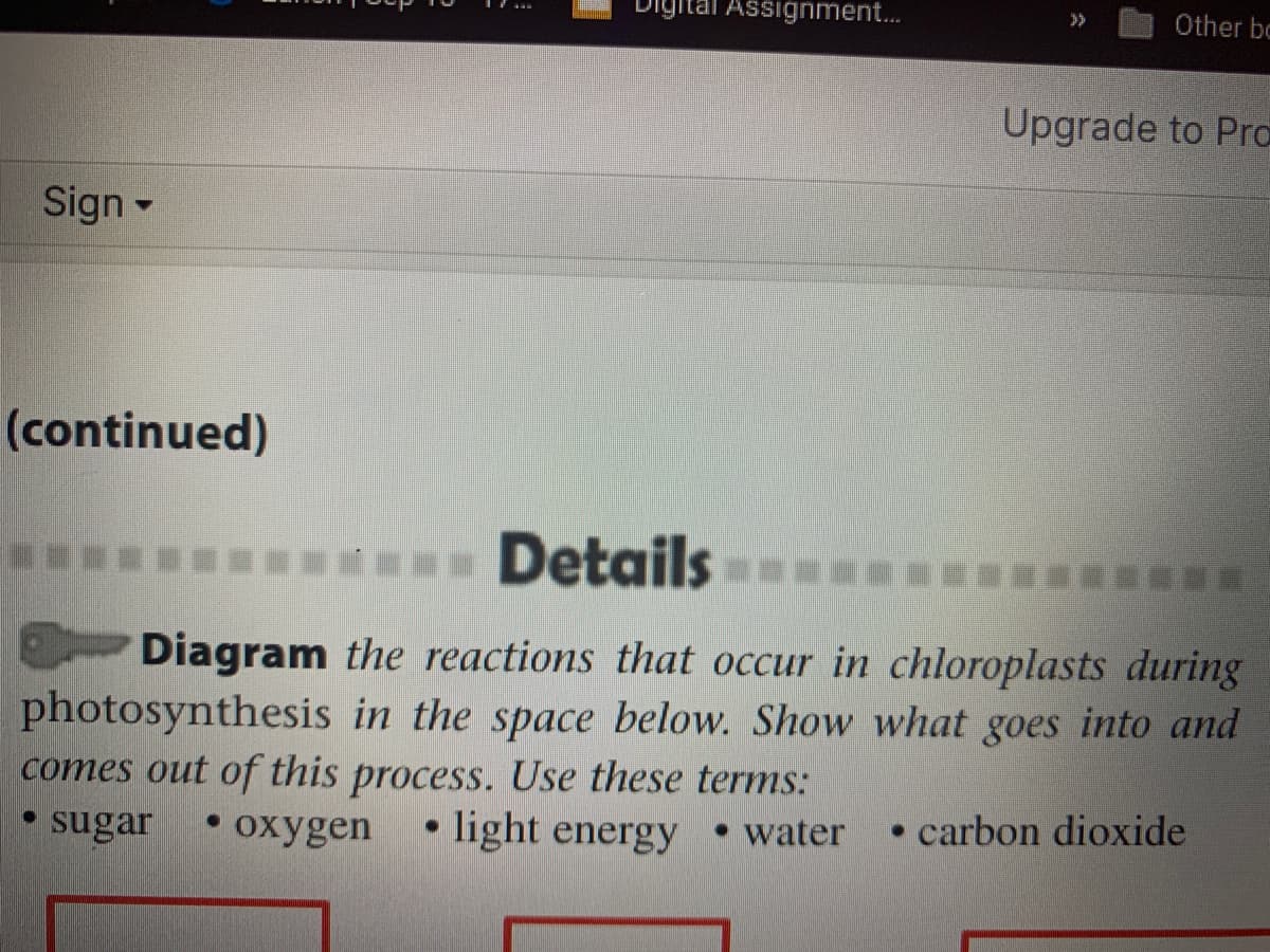 Digital Assignment.
Other bc
>>
Upgrade to Pra
Sign-
(continued)
Details
Diagram the reactions that occur in chloroplasts during
photosynthesis in the space below. Show what goes into and
comes out of this process. Use these terms:
light energy
• water
• carbon dioxide
sugar
охygen
