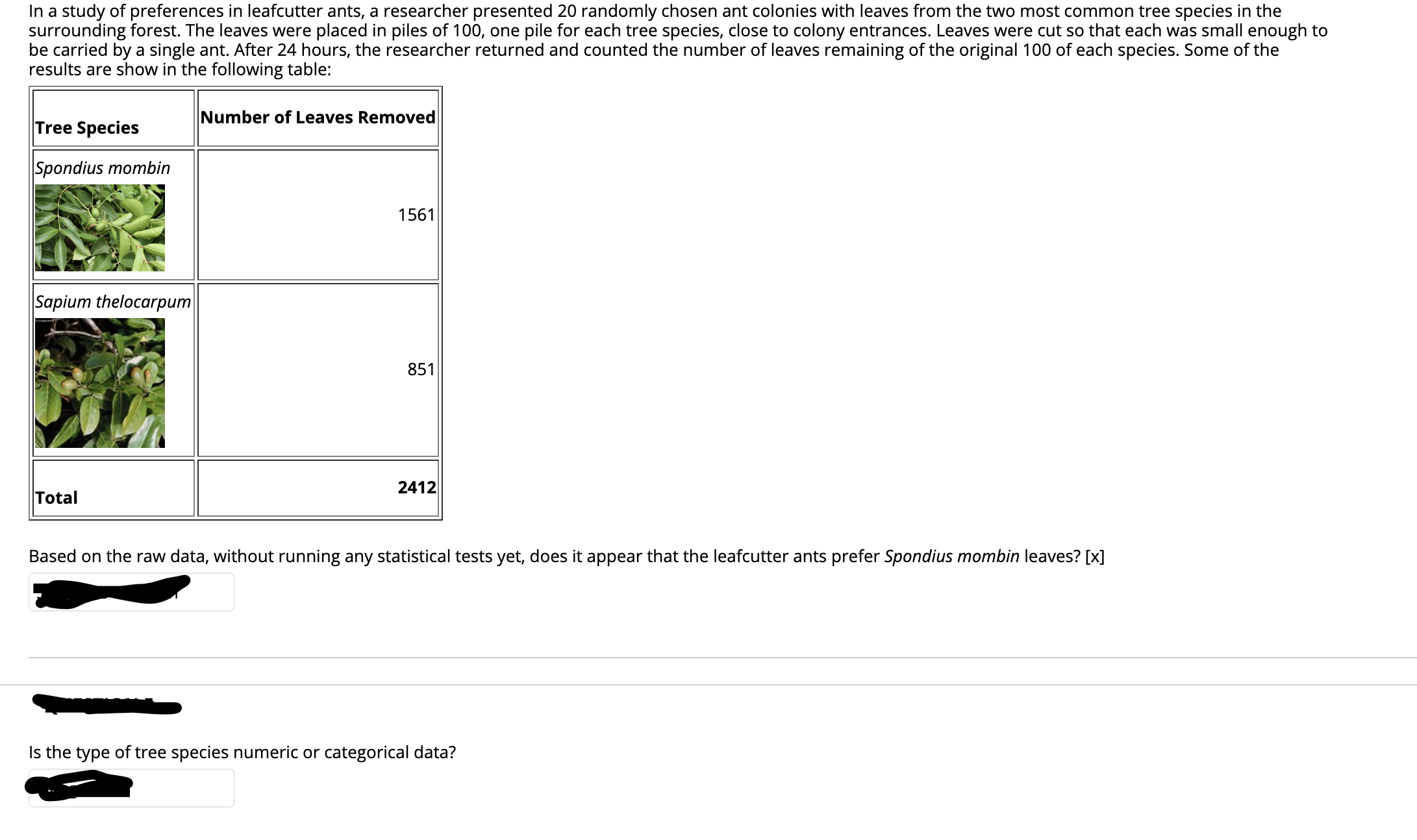 In a study of preferences in leafcutter ants, a researcher presented 20 randomly chosen ant colonies with leaves from the two most common tree species in the
surrounding forest. The leaves were placed in piles of 100, one pile for each tree species, close to colony entrances. Leaves were cut so that each was small enough to
be carried by a single ant. After 24 hours, the researcher returned and counted the number of leaves remaining of the original 100 of each species. Some of the
results are show in the following table:
Number of Leaves Removed
Tree Species
Spondius mombin
1561
Sapium thelocarpum
851
2412
Total
Based on the raw data, without running any statistical tests yet, does it appear that the leafcutter ants prefer Spondius mombin leaves? [x]
Is the type of tree species numeric or categorical data?

