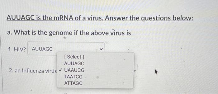 AUUAGC is the mRNA of a virus. Answer the questions below:
a. What is the genome if the above virus is
1. HIV? AUUAGC
[ Select ]
AUUAGC
2. an Influenza virus v UAAUCG
TAATCG
ATTAGC
