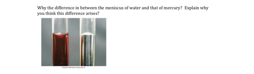 Why the difference in between the meniscus of water and that of mercury? Explain why
you think this difference arises?
