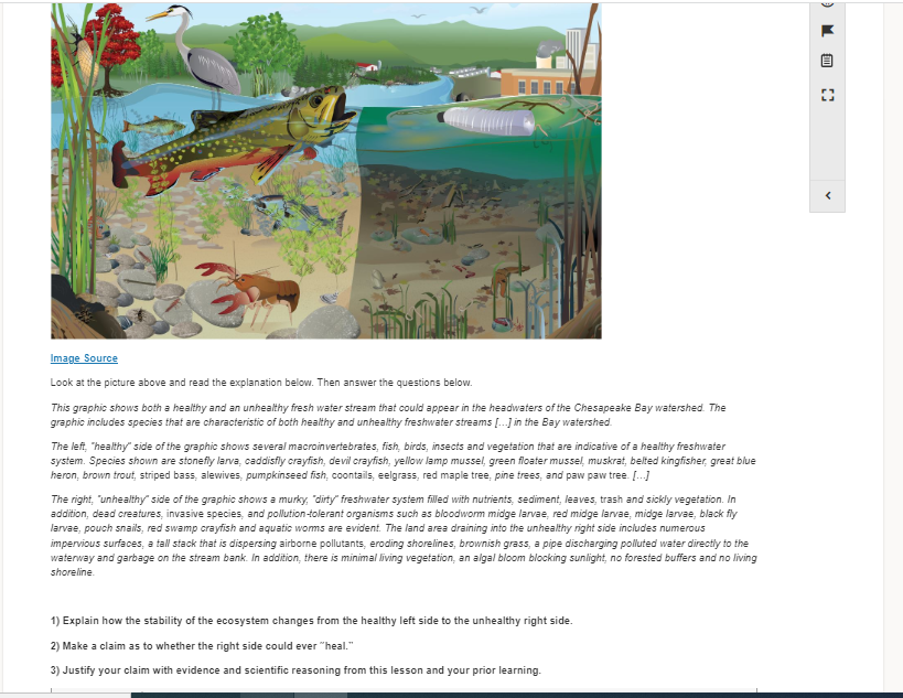 Image Source
Look at the picture above and read the explanation below. Then answer the questions below.
This graphic shows both a healthy and an unhealthy fresh water stream that could appear in the headwaters of the Chesapeake Bay watershed. The
graphic includes species that are characteristic of both healthy and unhealthy freshwater streams [...] in the Bay watershed.
The left, "healthy" side of the graphic shows several macroinvertebrates, fish, birds, insects and vegetation that are indicative of a healthy freshwater
system. Species shown are stonefly larva, caddisfly crayfish, devil crayfish, yellow lamp mussel, green floater mussel, muskrat, belted kingfisher, great blue
heron, brown trout, striped bass, alewives, pumpkinseed fish, coontails, eelgrass, red maple tree, pine trees, and paw paw tree. [...]
The right, "unhealthy" side of the graphic shows a murky, "dirty" freshwater system filled with nutrients, sediment, leaves, trash and sickly vegetation. In
addition, dead creatures, invasive species, and pollution-tolerant organisms such as bloodworm midge larvae, red midge larvae, midge larvae, black fly
larvae, pouch snails, red swamp crayfish and aquatic worms are evident. The land area draining into the unhealthy right side includes numerous
impervious surfaces, a tall stack that is dispersing airborne pollutants, eroding shorelines, brownish grass, a pipe discharging polluted water directly to the
waterway and garbage on the stream bank. In addition, there is minimal living vegetation, an algal bloom blocking sunlight, no forested buffers and no living
shoreline.
1) Explain how the stability of the ecosystem changes from the healthy left side to the unhealthy right side.
2) Make a claim as to whether the right side could ever "heal."
3) Justify your claim with evidence and scientific reasoning from this lesson and your prior learning.
M
11 03