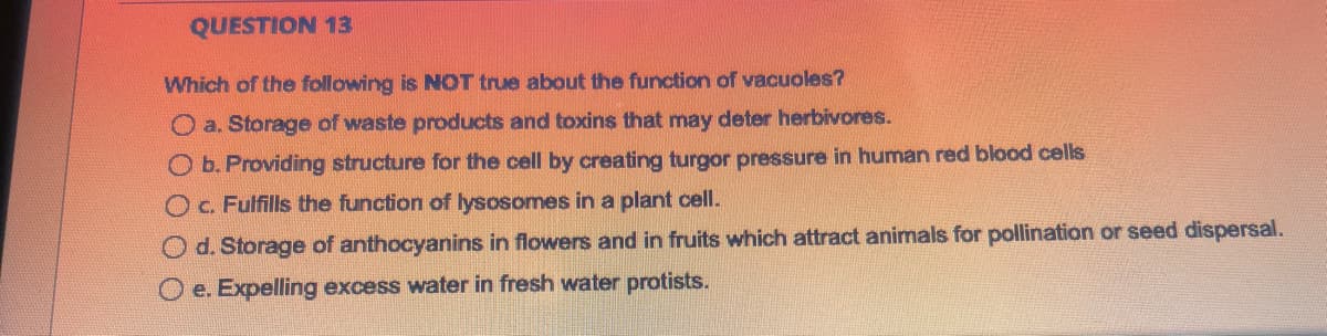 QUESTION 13
Which of the following is NOT true about the function of vacuoles?
O a. Storage of waste products and toxins that may deter herbivores.
O b. Providing structure for the cell by creating turgor pressure in human red blood cells
Oc. Fulfills the function of lysosomes in a plant cell.
O d. Storage of anthocyanins in flowers and in fruits which attract animals for pollination or seed dispersal.
Oe. Expelling excess water in fresh water protists.