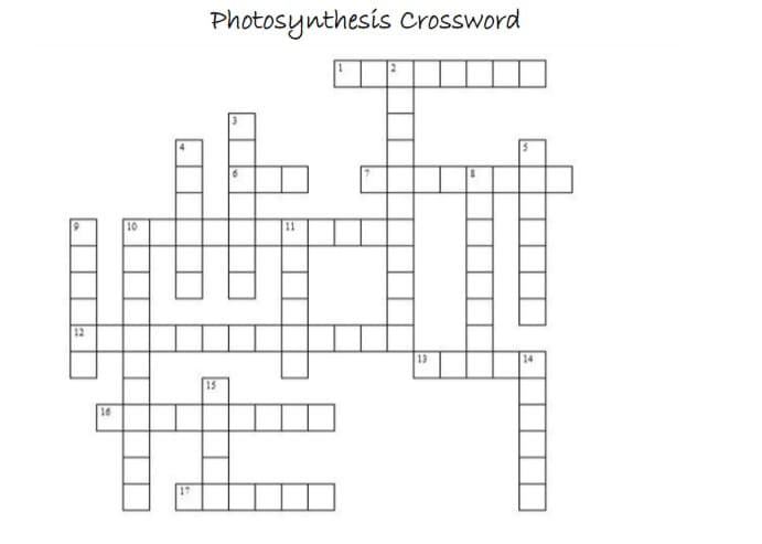 Photosynthesis Crossword
10
12
15
17
