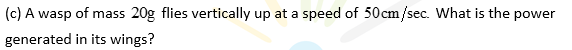 (c) A wasp of mass 20g flies vertically up at a speed of 50cm/sec. What is the power
generated in its wings?
