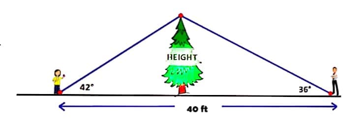 42°
HEIGHT
40 ft
36°