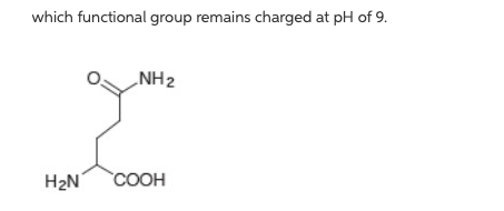 which functional group remains charged at pH of 9.
„NH2
H2N
COOH
