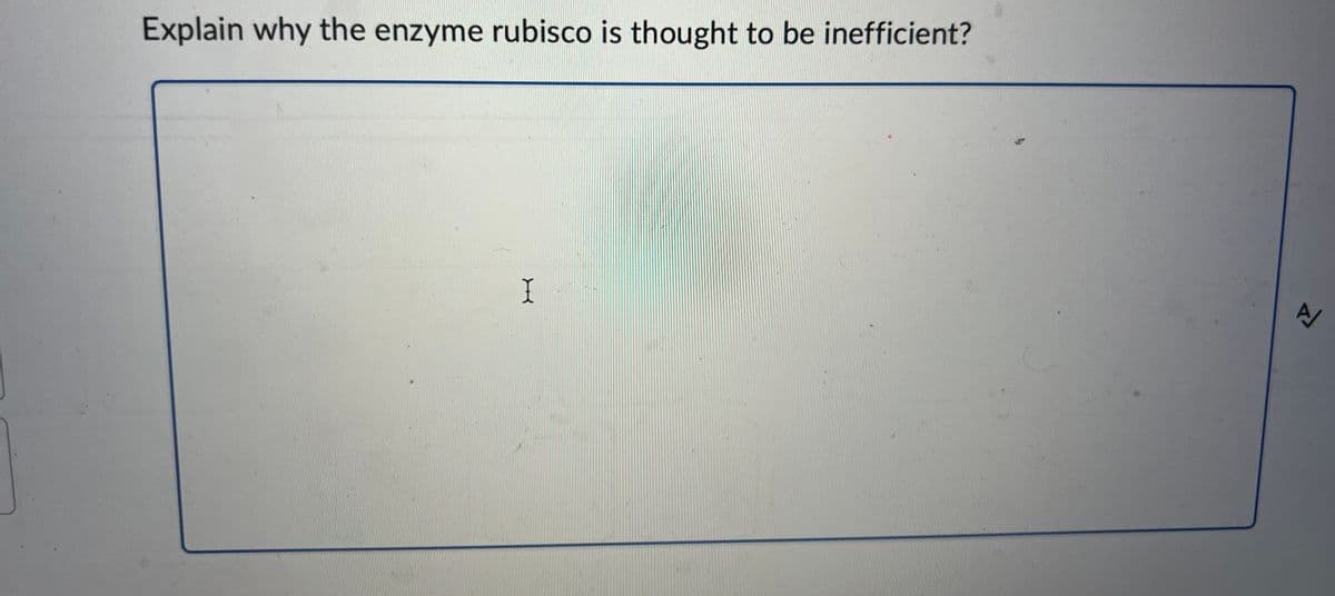 Explain why the enzyme rubisco is thought to be inefficient?
X
4