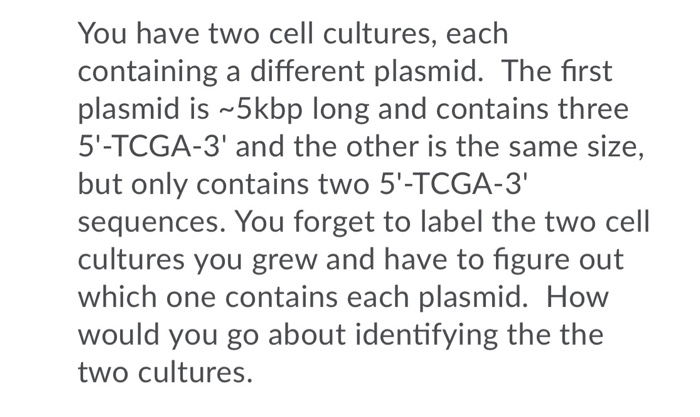 You have two cell cultures, each
containing a different plasmid. The first
plasmid is ~5kbp long and contains three
5'-TCGA-3' and the other is the same size,
but only contains two 5'-TCGA-3'
sequences. You forget to label the two cell
cultures you grew and have to figure out
which one contains each plasmid. How
would you go about identifying the the
two cultures.
