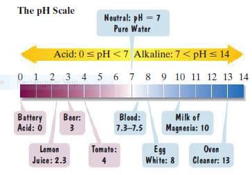 The pH Scale
Neutral: pH = 7
Pure Water
Acid: 0 < pH <7 Alkaline: 7 < pH < 14
0 1 2 3 4 56 7 8 9 10 11 12 13 14
Battery
Acid: 0
Blood:
7.3-7.5
Milk of
Magnesia: 10
Beer:
3
Lemon
Juice: 2.3
Tomato:
Egg
White: 8
Oven
4
Cleaner: 13
