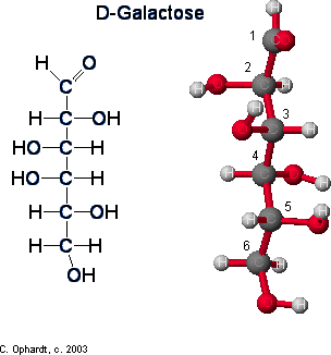 D-Galactose
1
H.
2
н-с он
3
но-с н
HO-CH
нс он
нсн
6
ÓH
С. Оphardt, o. 2003
