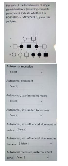 For each of the listed modes of single
gene inheritance (assuming complete
penetrance), indicate whether it is
POSSIBLE or IMPOSSIBLE, given this
pedigree.
Autosomal recessive
| Select ]
Autosomal dominant
| Select )
Autosomal, sex-limited to males
( Select |
Autosomal, sex-limited to females
| Select |
Autosomal, sex-influenced, dominant in
males (Select)
Autosomal, sex-influenced, dominant in
females ( Select )
Autosomal recessive, maternal effect
gene I Select)
