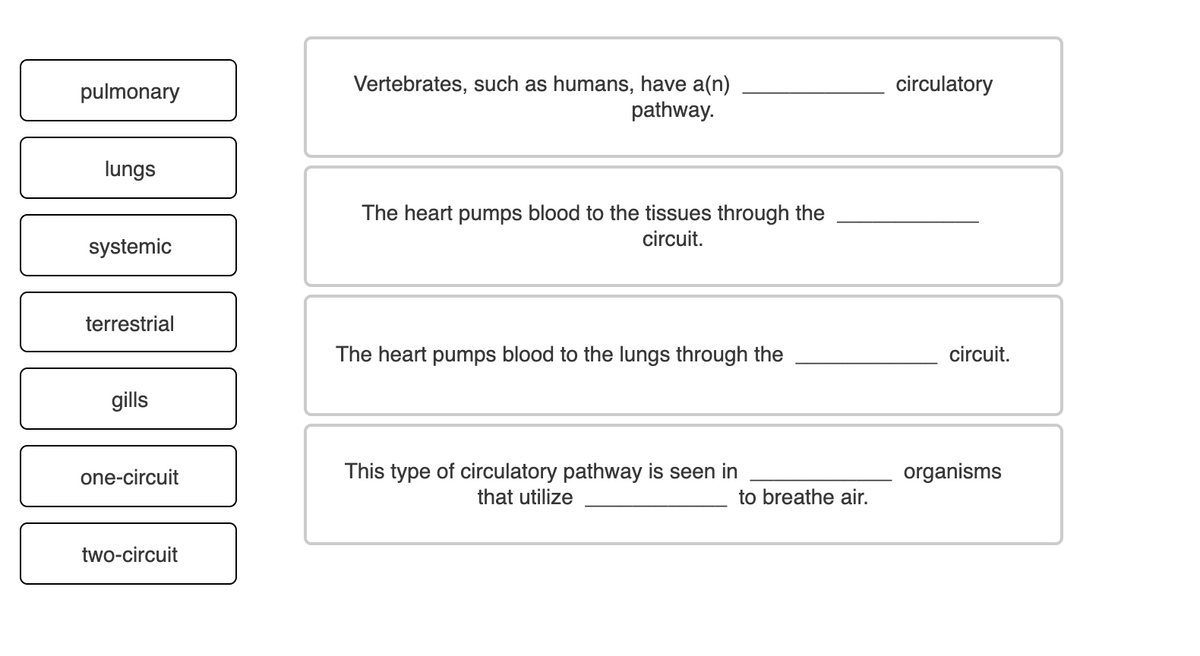 Vertebrates, such as humans, have a(n)
pathway.
pulmonary
circulatory
lungs
The heart pumps blood to the tissues through the
circuit.
systemic
terrestrial
The heart pumps blood to the lungs through the
circuit.
gills
one-circuit
This type of circulatory pathway is seen in
organisms
that utilize
to breathe air.
two-circuit
