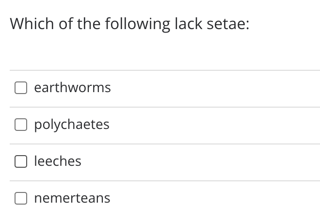 Which of the following lack setae:
earthworms
polychaetes
leeches
nemerteans
