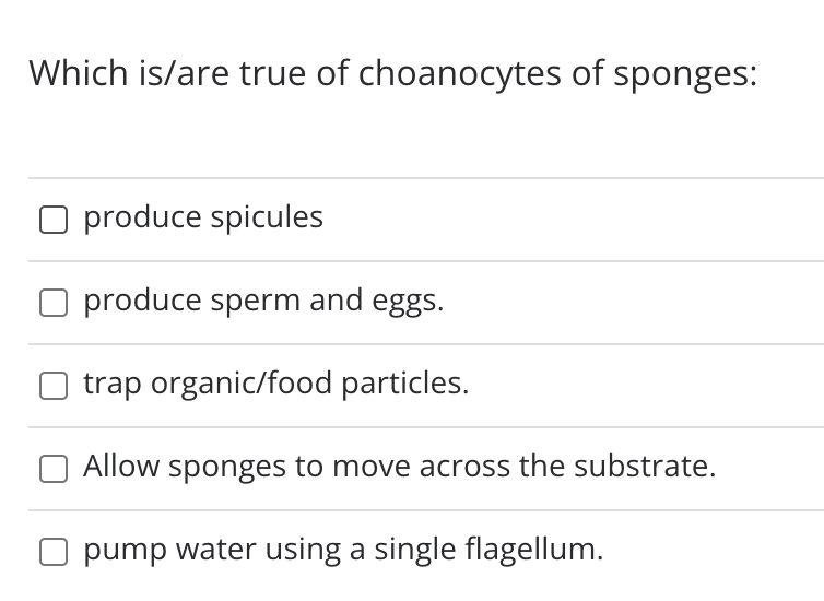 Which is/are true of choanocytes of sponges:
produce spicules
produce sperm and eggs.
trap organic/food particles.
Allow sponges to move across the substrate.
O pump water using a single flagellum.
