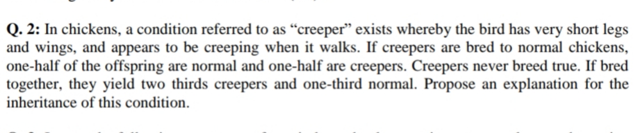 Q. 2: In chickens, a condition referred to as “creeper" exists whereby the bird has very short legs
and wings, and appears to be creeping when it walks. If creepers are bred to normal chickens,
one-half of the offspring are normal and one-half are creepers. Creepers never breed true. If bred
together, they yield two thirds creepers and one-third normal. Propose an explanation for the
inheritance of this condition.
