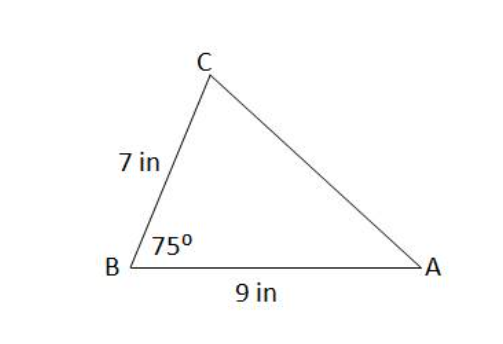 7 in
B
75⁰
C
9 in
A