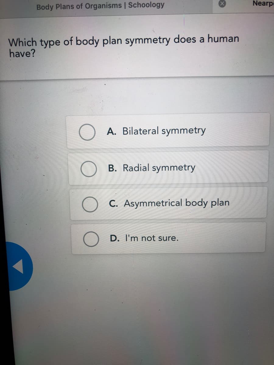 Nearpe
Body Plans of Organisms | Schoology
Which type of body plan symmetry does a human
have?
A. Bilateral symmetry
B. Radial symmetry
C. Asymmetrical body plan
D. I'm not sure.
