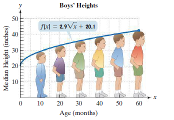 Boys' Heights
50
flx) = 2.9Vx + 20.1
40
30
20
10
10
20
30
40
50
60
Age (months)
Me dian Height (inches)
