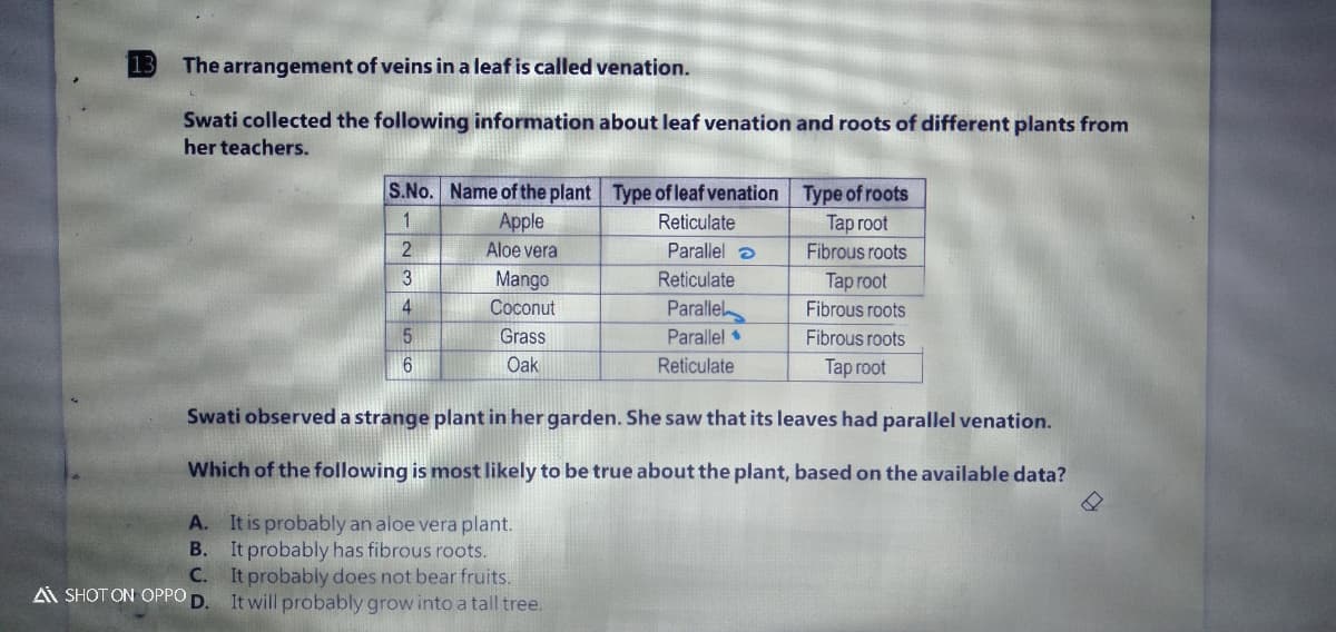 13
The arrangement of veins in a leaf is called venation.
Swati collected the following information about leaf venation and roots of different plants from
her teachers.
S.No. Name of the plant Type of leaf venation Type of roots
1
Apple
Aloe vera
Reticulate
Таp гoot
Parallel a
Fibrous roots
3
Mango
Reticulate
Tap root
Coconut
Parallel
Fibrous roots
5.
Grass
Parallel •
Fibrous roots
Oak
Reticulate
Таp гoot
Swati observed a strange plant in her garden. She saw that its leaves had parallel venation.
Which of the following is most likely to be true about the plant, based on the available data?
A. It is probably an aloe vera plant.
B. It probably has fibrous roots.
C. It probably does not bear fruits.
It will probably grow into a tall tree.
A SHOT ON OPPO
