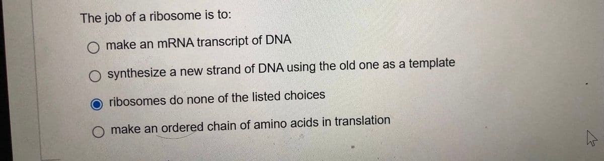 The job of a ribosome is to:
O make an mRNA transcript of DNA
O synthesize a new strand of DNA using the old one as a template
ribosomes do none of the listed choices
O make an ordered chain of amino acids in translation
