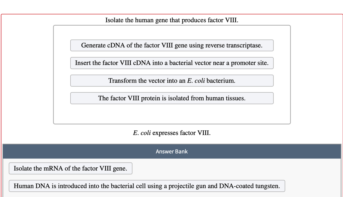 Isolate the human gene that produces factor VIII.
Generate CDNA of the factor VIII gene using reverse transcriptase.
Insert the factor VIII CDNA into a bacterial vector near a promoter site.
Transform the vector into an E. coli bacterium.
The factor VIII protein is isolated from human tissues.
E. coli expresses factor VIII.
Answer Bank
Isolate the mRNA of the factor VIII gene.
Human DNA is introduced into the bacterial cell using a projectile gun and DNA-coated tungsten.
