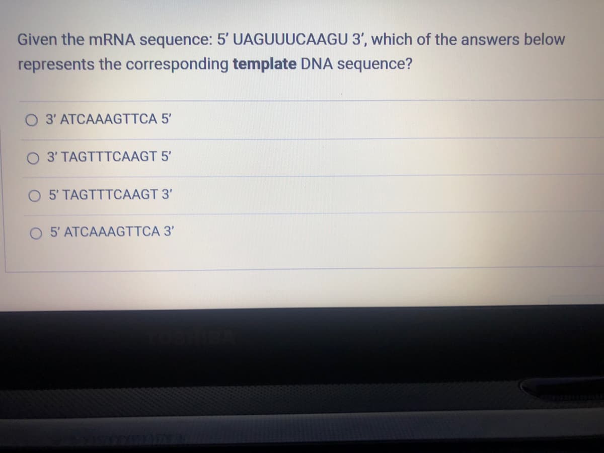 Given the mRNA sequence: 5' UAGUUUCAAGU 3', which of the answers below
represents the corresponding template DNA sequence?
3' ATCAAAGTTCA 5'
3' TAGTTTCAAGT 5'
5' TAGTTTCAAGT 3'
5' ATCAAAGTTCA 3'