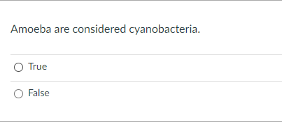 Amoeba are considered cyanobacteria.
True
O False
