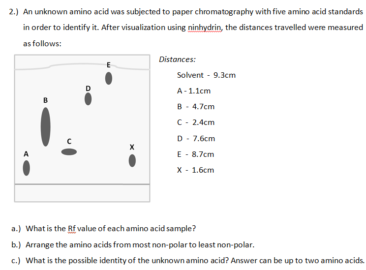 2.) An unknown amino acid was subjected to paper chromatography with five amino acid standards
in order to identify it. After visualization using ninhydrin, the distances travelled were measured
as follows:
Distances:
Solvent - 9.3cm
A- 1.1cm
B - 4.7cm
C - 2.4cm
D - 7.6cm
A
E - 8.7cm
X - 1.6cm
a.) What is the Rf value of each amino acid sample?
b.) Arrange the amino acids from most non-polar to least non-polar.
c.) What is the possible identity of the unknown amino acid? Answer can be up to two amino acids.
B.
