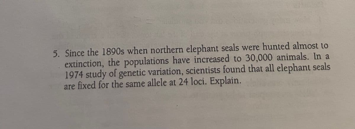 5. Since the 1890s when northern elephant seals were hunted almost to
extinction, the populations have increased to 30,000 animals. In a
1974 study of genetic variation, scientists found that all elephant seals
are fixed for the same allele at 24 loci. Explain.
