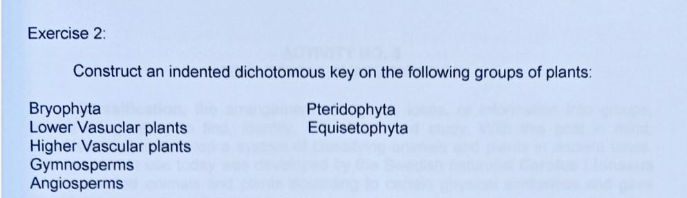 Exercise 2:
Construct an indented dichotomous key on the following groups of plants:
Bryophyta
Lower Vasuclar plants
Higher Vascular plants
Gymnosperms
Angiosperms
Pteridophyta
Equisetophyta
