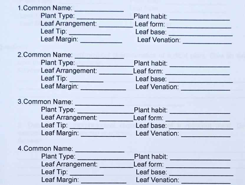 1.Common Name:
Plant Type:
Leaf Arrangement:
Leaf Tip:
Leaf Margin:
Plant habit:
Leaf form:
Leaf base:
Leaf Venation:
2.Common Name:
Plant Type:
Leaf Arrangement:
Leaf Tip:
Leaf Margin:
Plant habit:
Leaf form:
Leaf base:
Leaf Venation:
3.Common Name:
Plant Type:
Leaf Arrangement:
Leaf Tip:
Leaf Margin:
Plant habit:
Leaf form:
Leaf base:
Leaf Venation:
4.Common Name:
Plant Type:
Leaf Arrangement:
Leaf Tip:
Leaf Margin:
Plant habit:
Leaf form:
Leaf base:
Leaf Venation:
